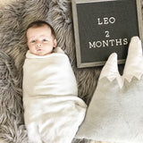 Gray Grizzly Bear Rug